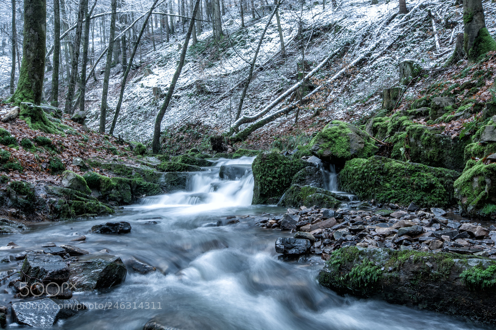 Nikon D7100 sample photo. Der wellesbach im winter photography