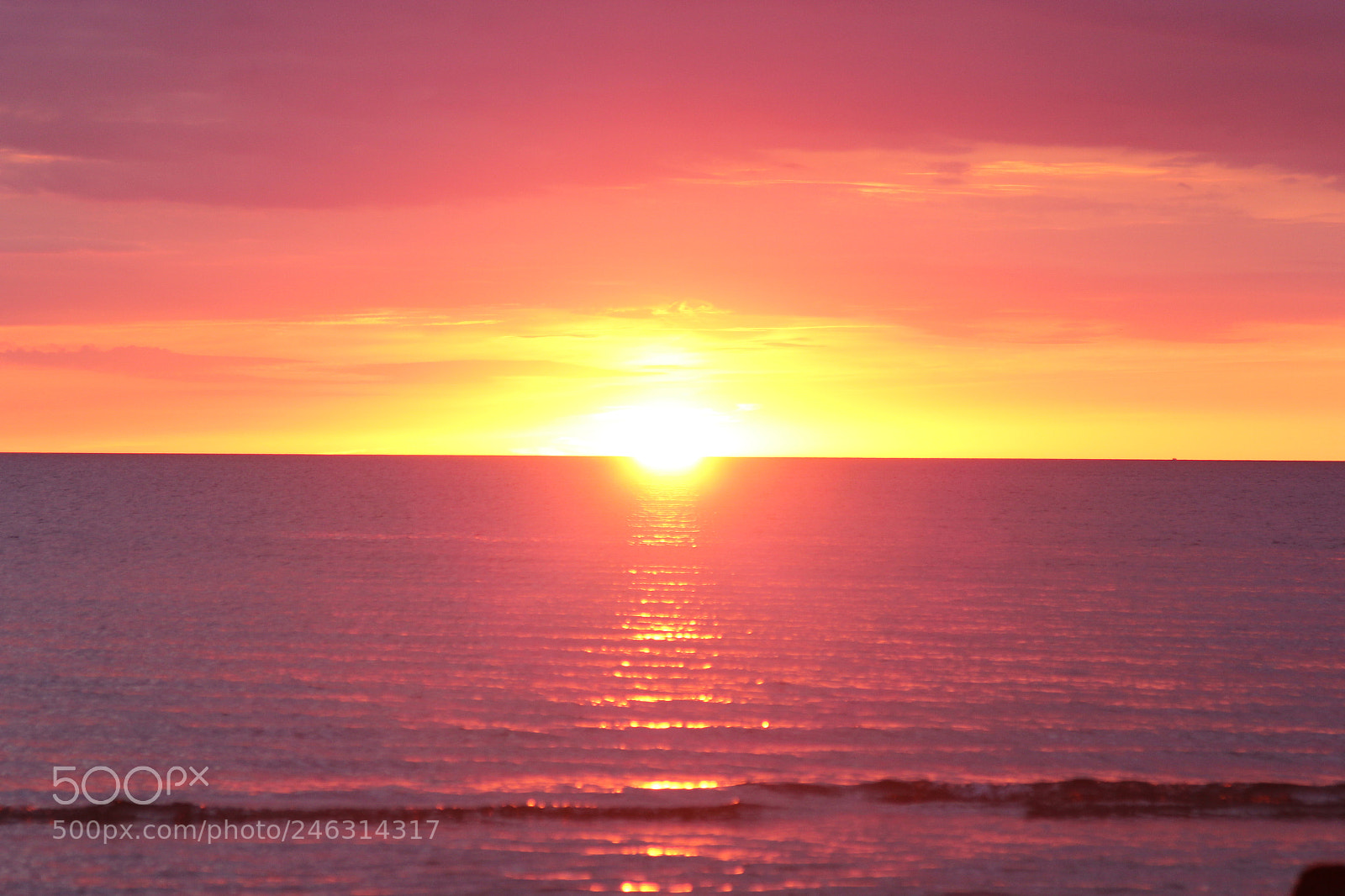 Canon EOS 60D + Canon EF 24-105mm F4L IS USM sample photo. Untitled photography