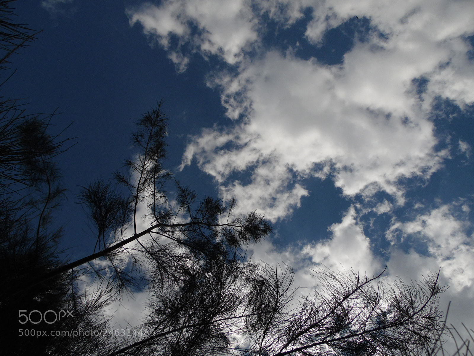 Samsung WB1100F/WB1101F/WB1102F sample photo. "esfera celeste" photography