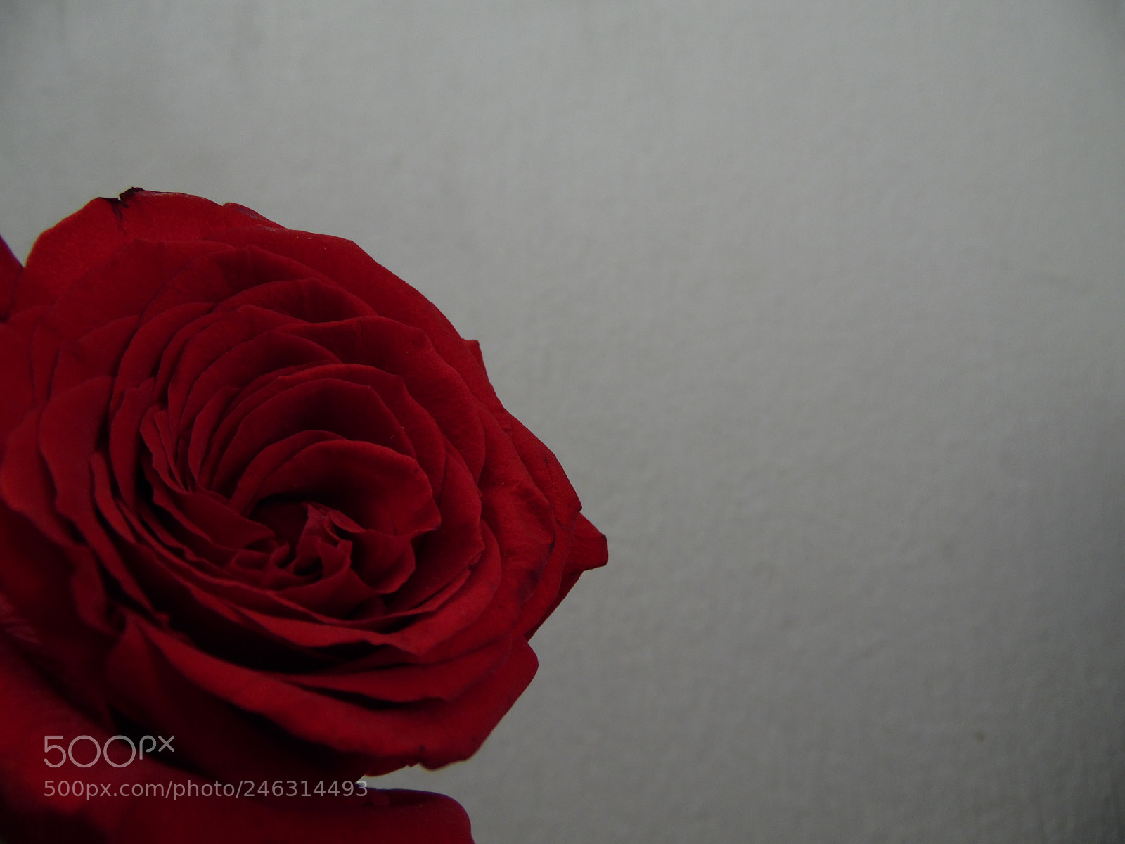 Samsung WB1100F/WB1101F/WB1102F sample photo. "símbolo del amor" photography