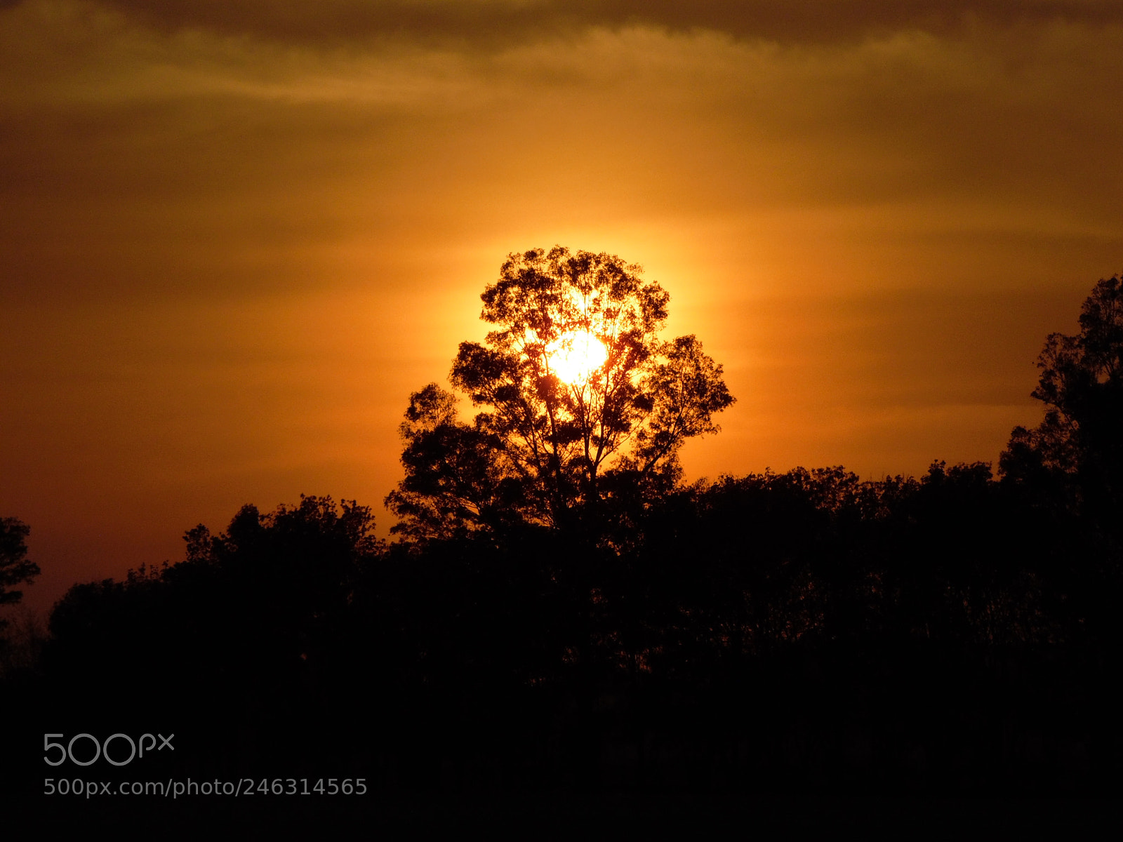 Samsung WB1100F/WB1101F/WB1102F sample photo. "hermosa naturaleza" photography