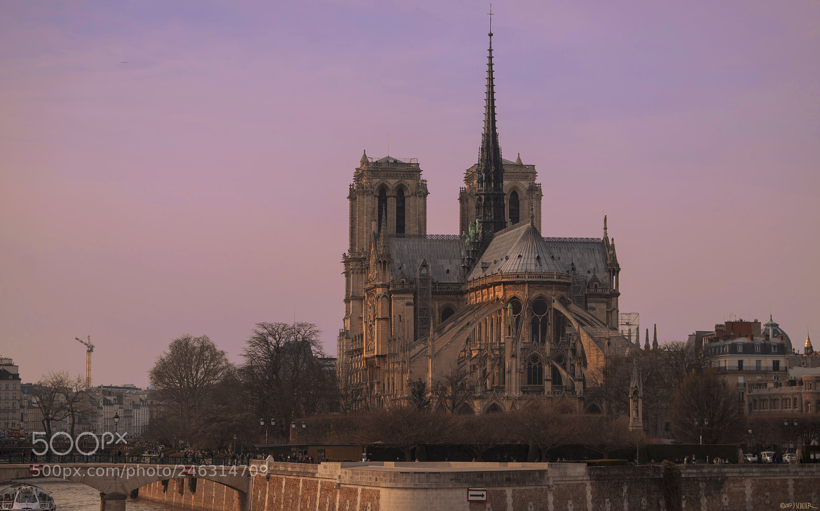 Sony a7R sample photo. Notre dame photography