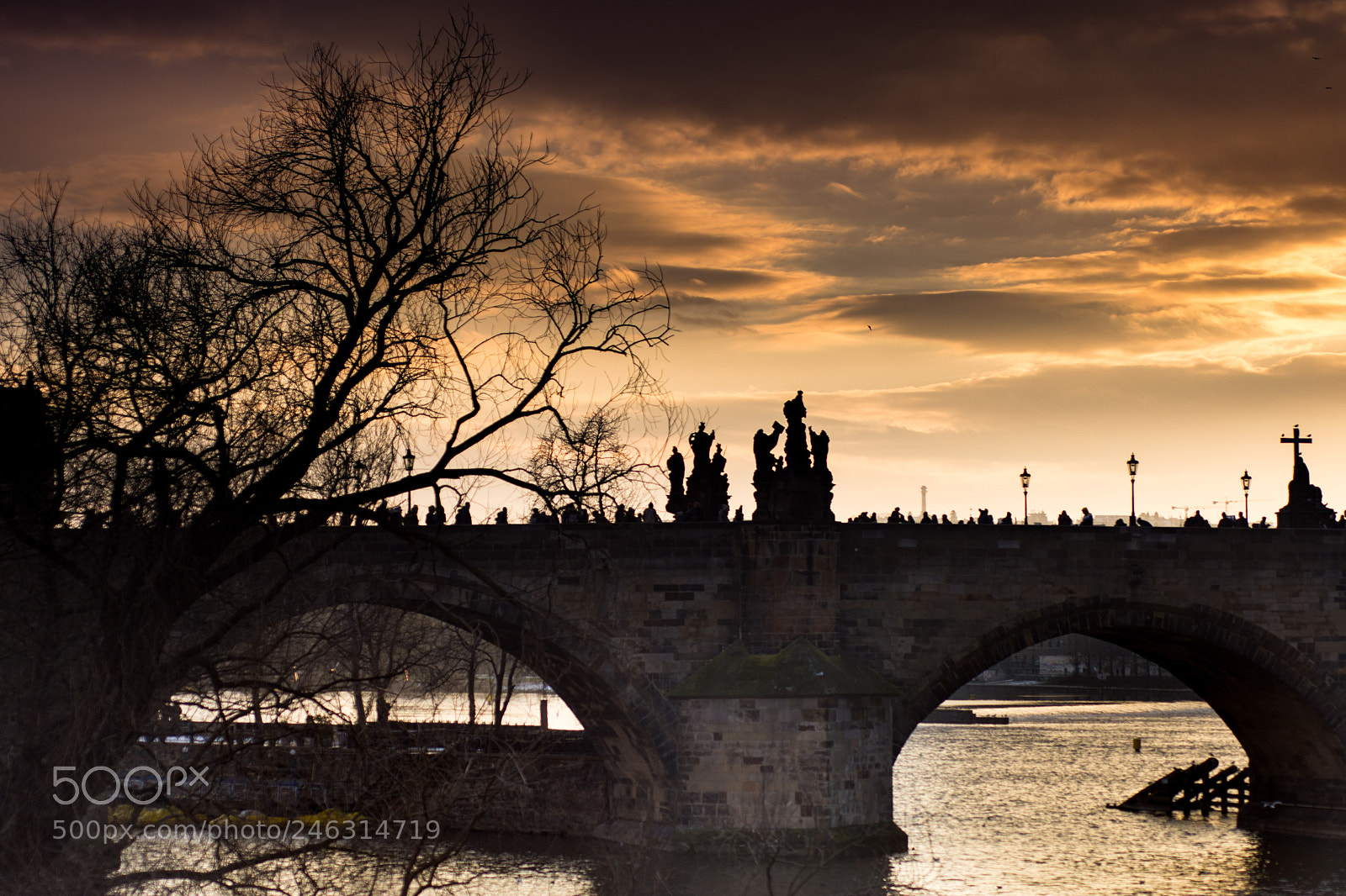 Nikon D7200 sample photo. Backlit bridge photography