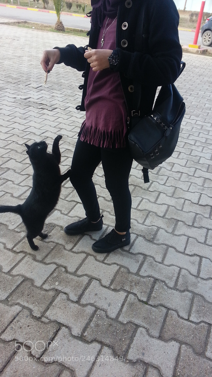 Samsung Galaxy S3 sample photo. Untitled photography