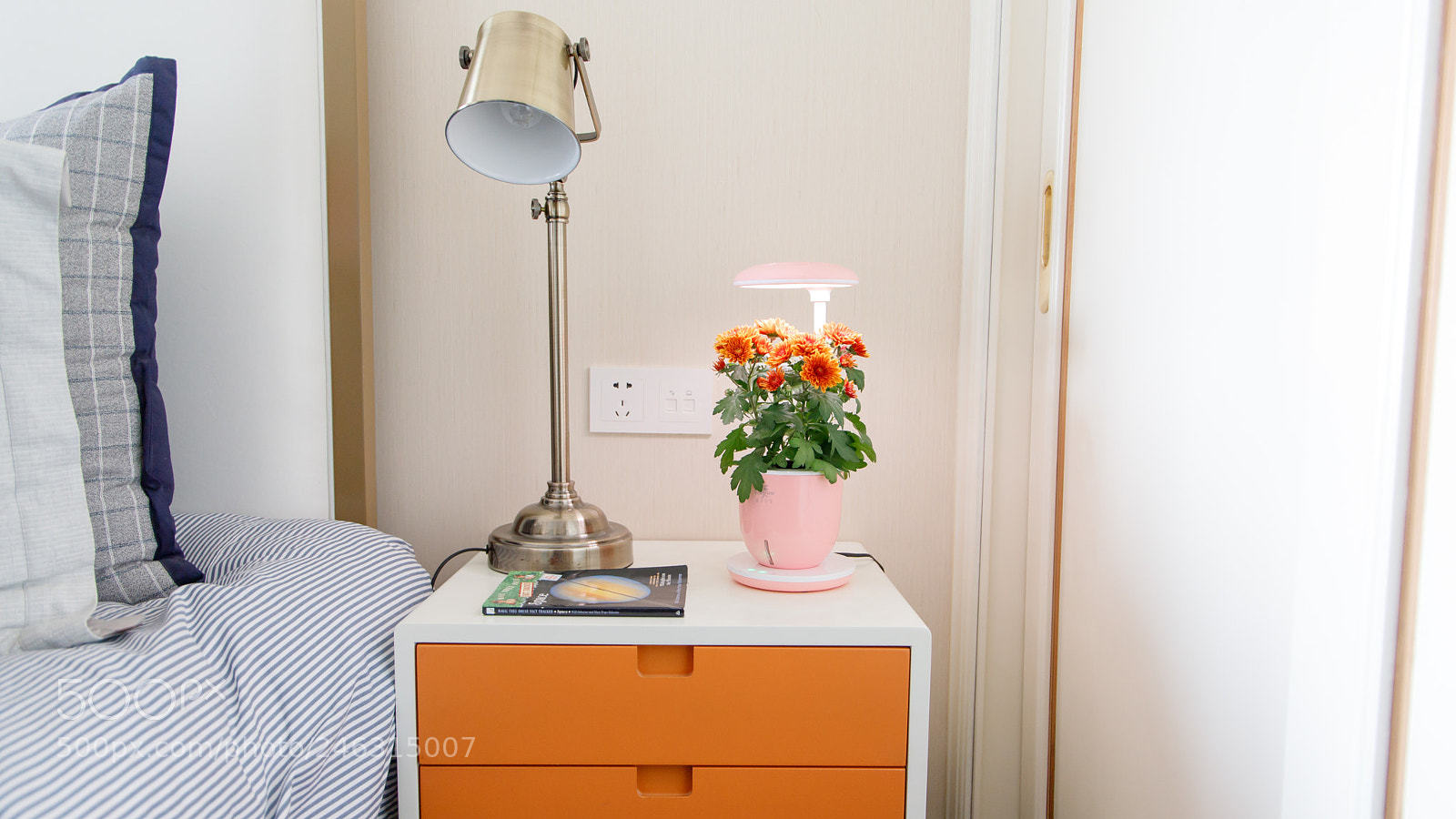 Canon EOS 6D Mark II sample photo. Wisgrow indoor garden photography