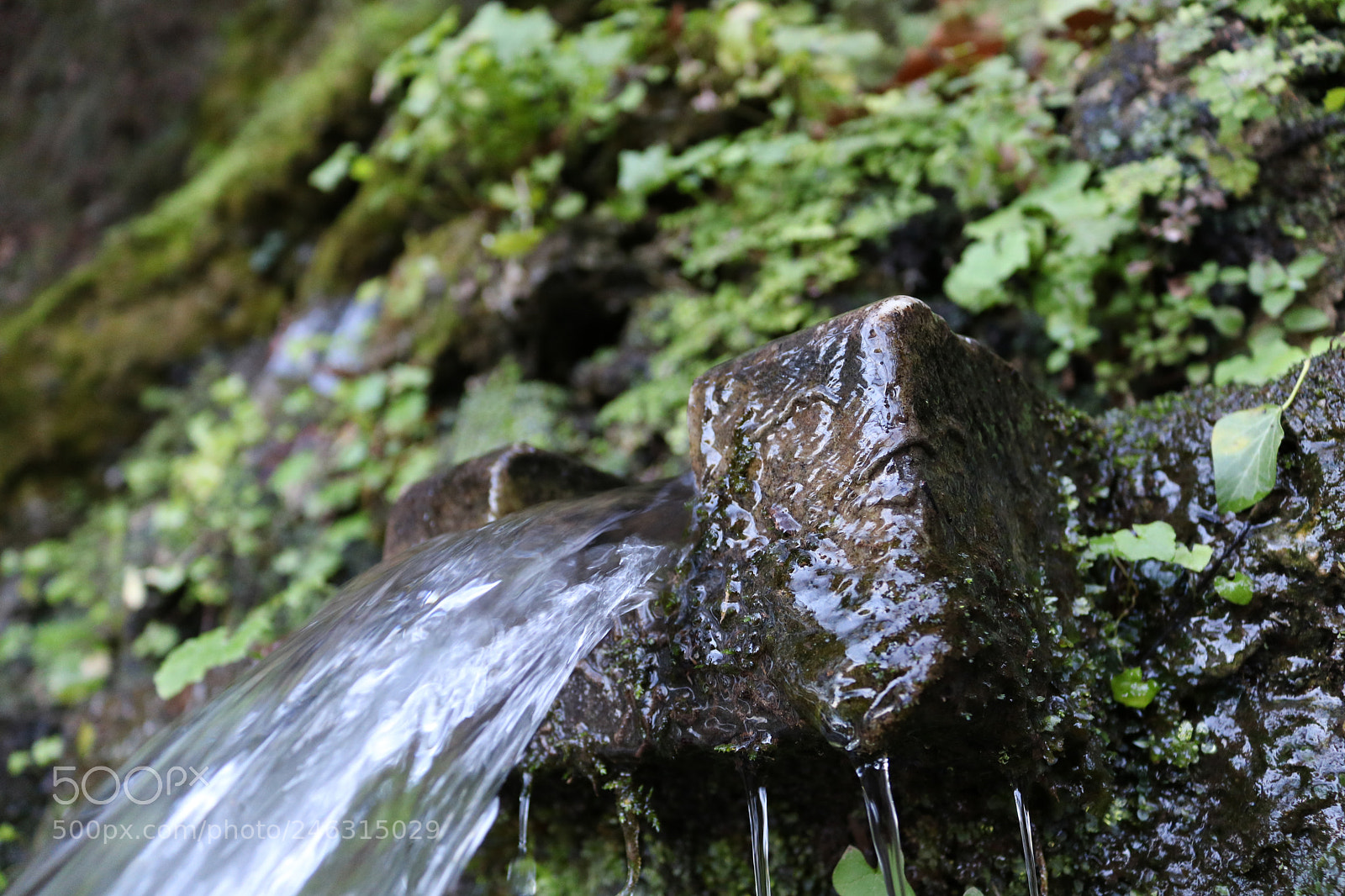Canon EOS 750D (EOS Rebel T6i / EOS Kiss X8i) sample photo. Crystal clear water photography