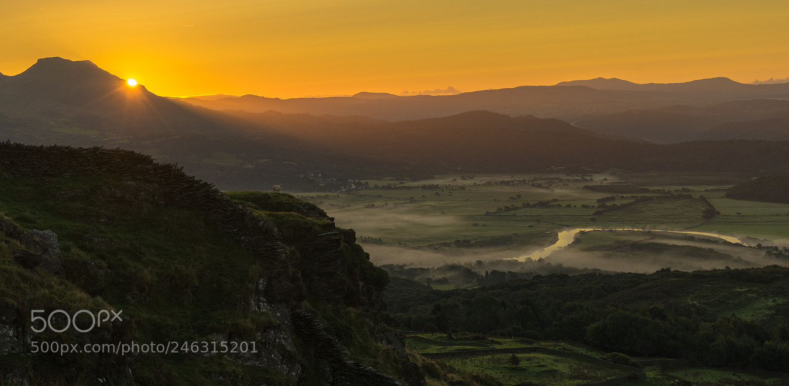 Sony a7R sample photo. Sheep watching the sunrise photography