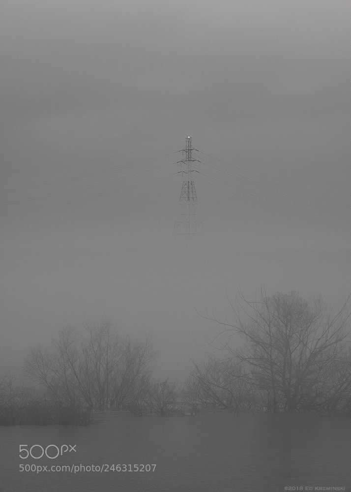 Fujifilm X-T2 sample photo. Murky day photography