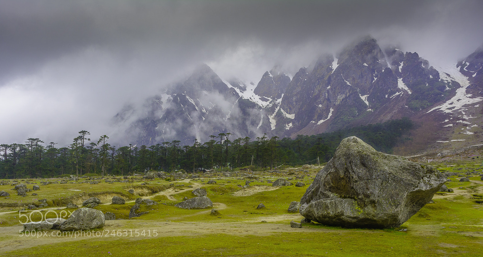 Nikon D5200 sample photo. Yumthang valley - north photography