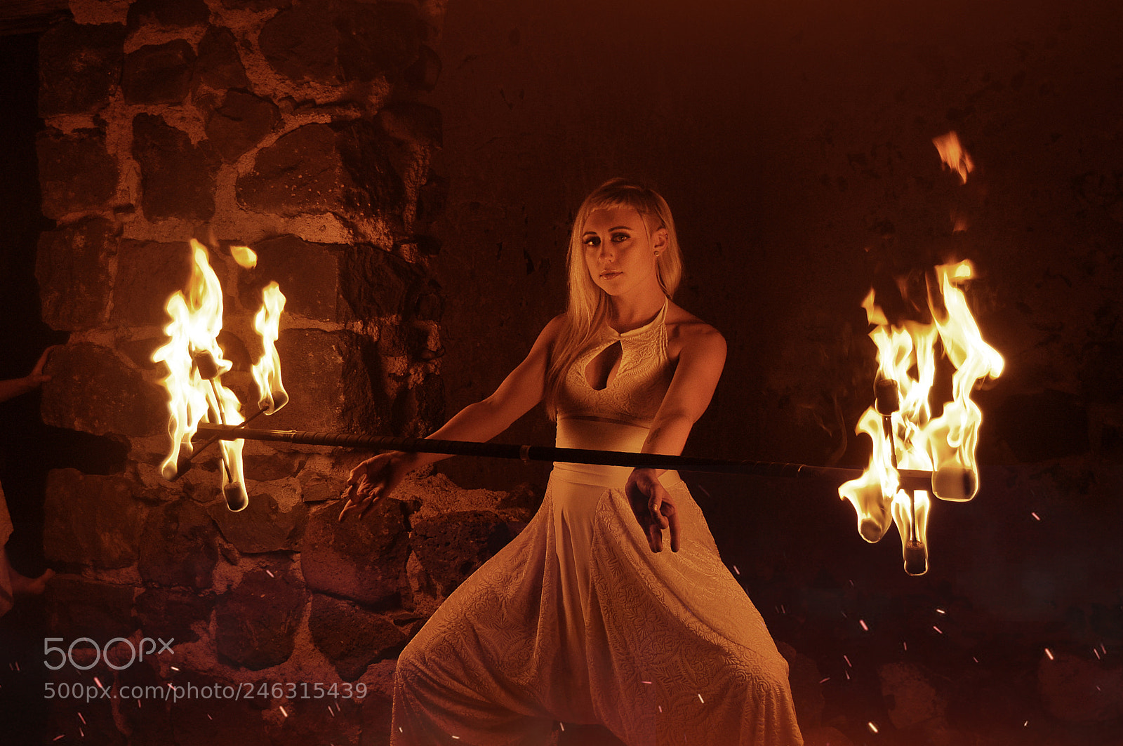 Nikon D90 sample photo. Dragon staff of the photography