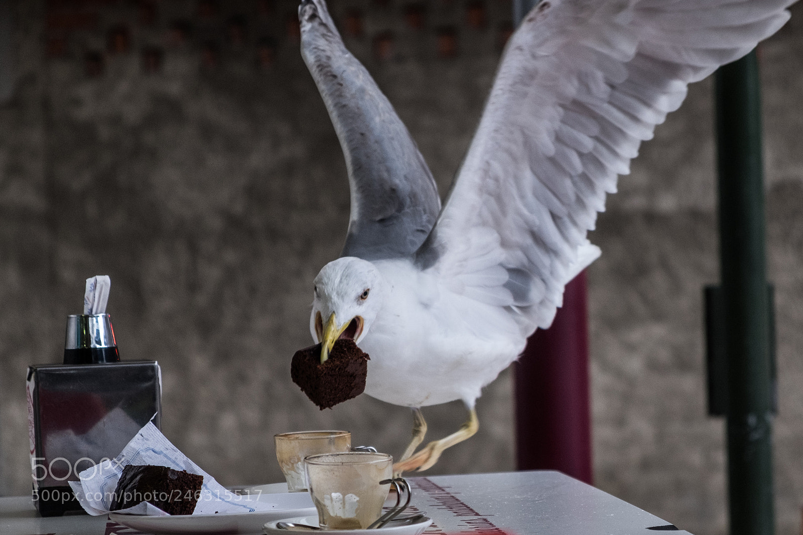 Fujifilm X-T1 sample photo. Thief photography