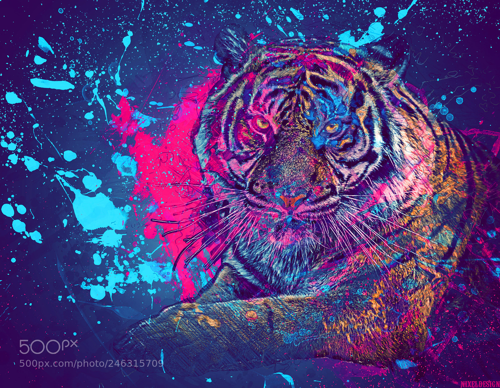 Nikon D810 sample photo. Tiger splash photography