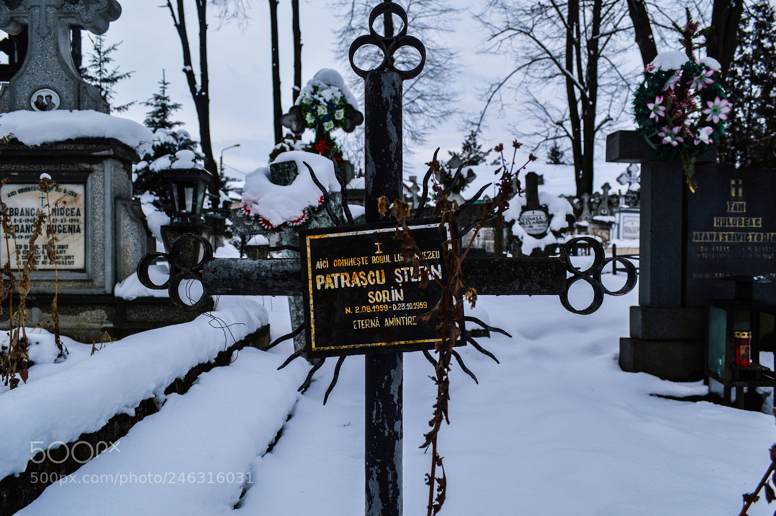 Nikon D3200 sample photo. There is no escape photography