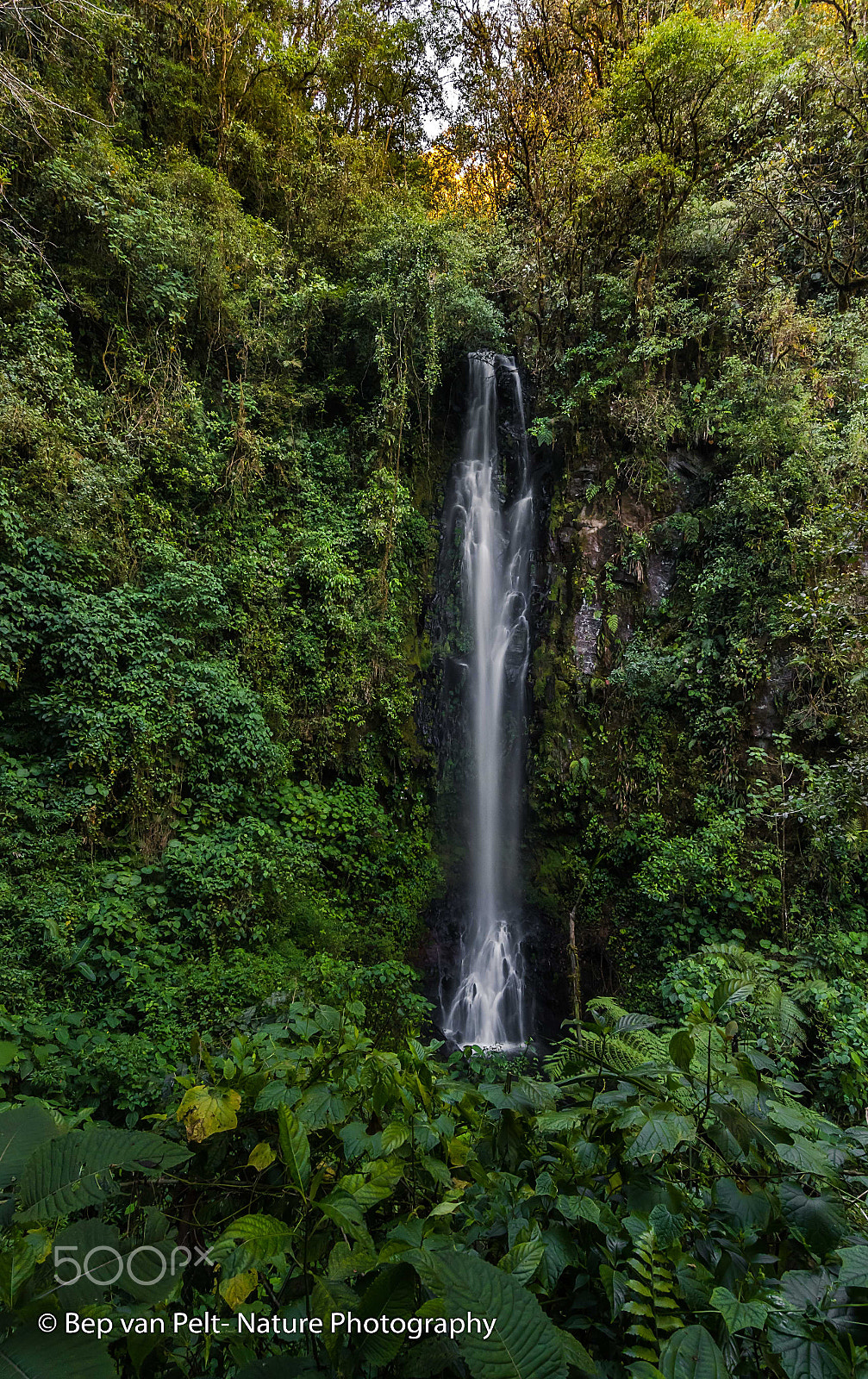 Nikon D500 sample photo. High waterfall bosque de paz photography