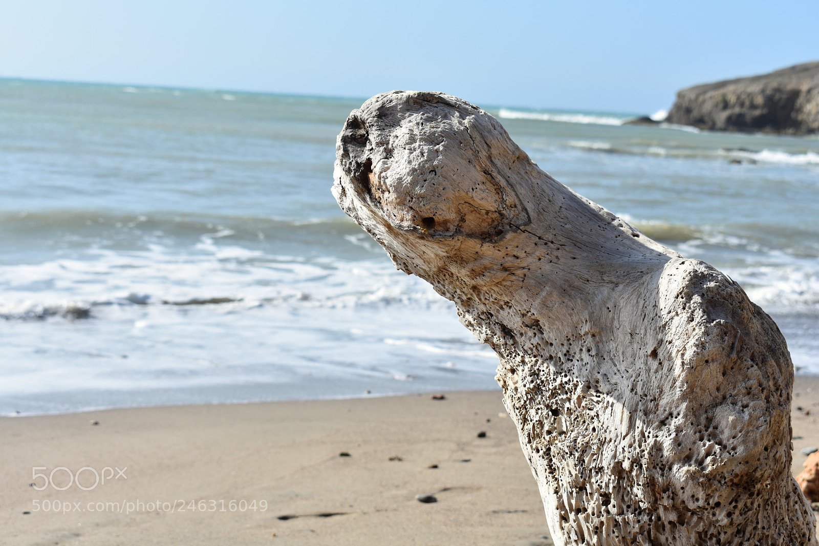 Nikon D3400 sample photo. Cabo de la vela. photography