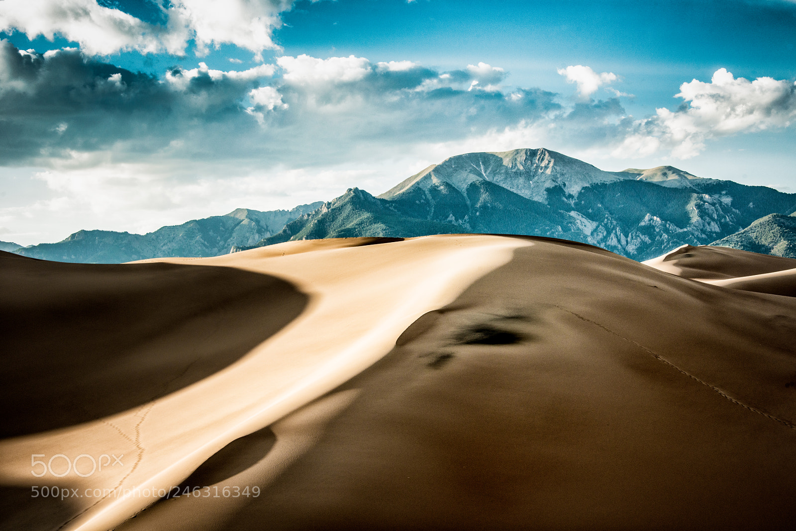 Nikon D800 sample photo. Sand dunes photography