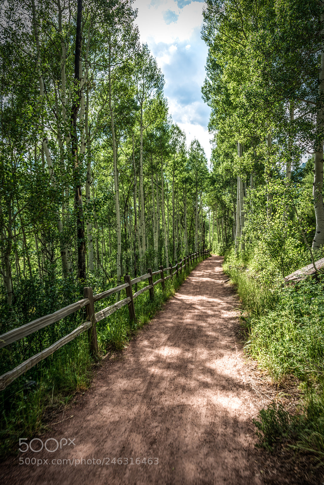 Nikon D800 sample photo. River walk photography