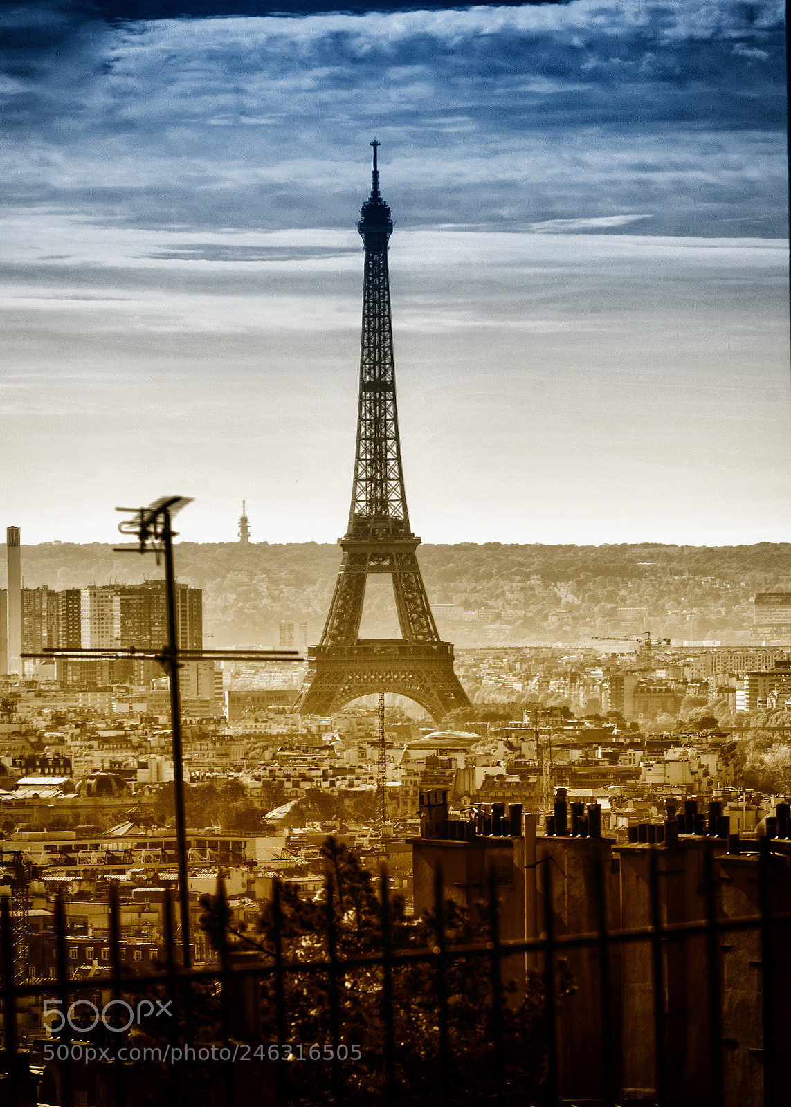 Nikon D800 sample photo. Foggy eiffel tower photography