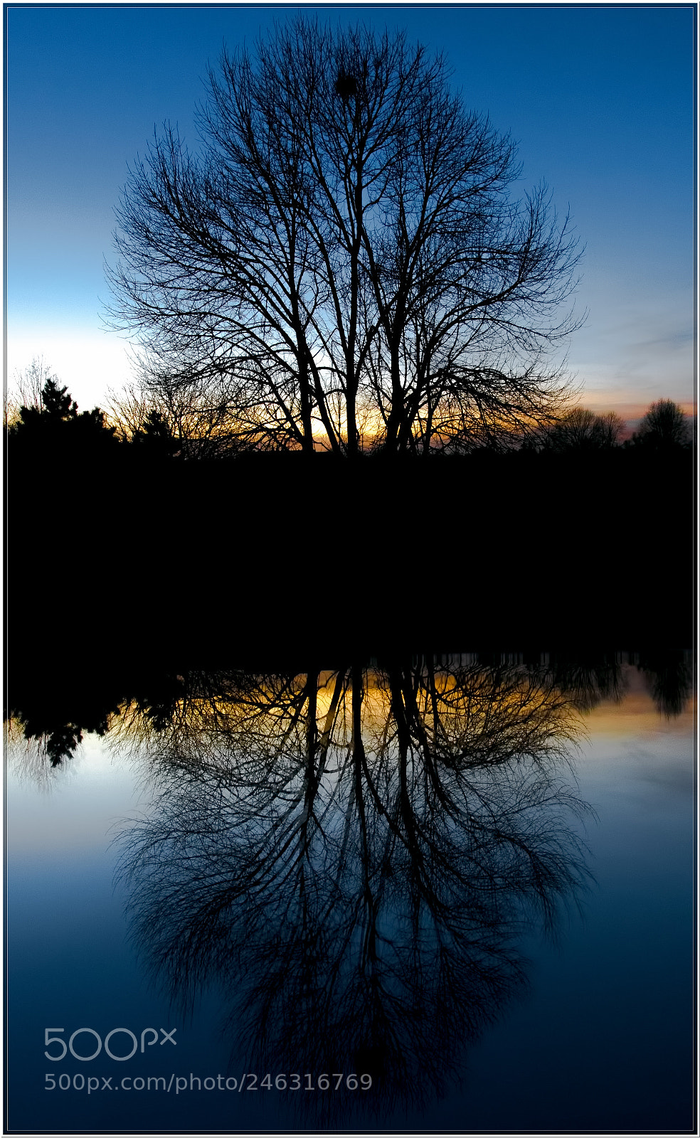 Canon EOS 7D Mark II sample photo. Mirror mirror photography