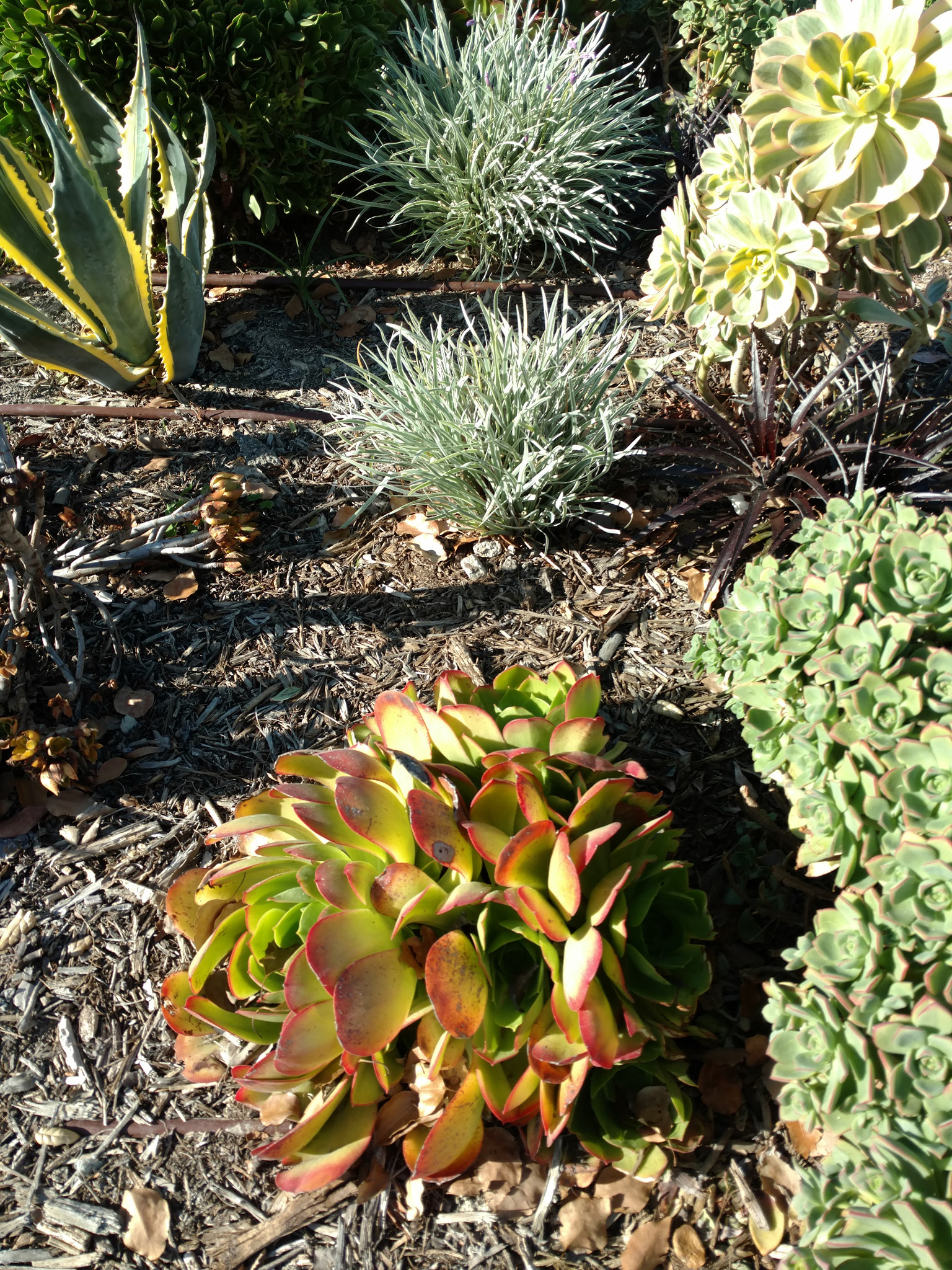 Motorola DROID Turbo 2 sample photo