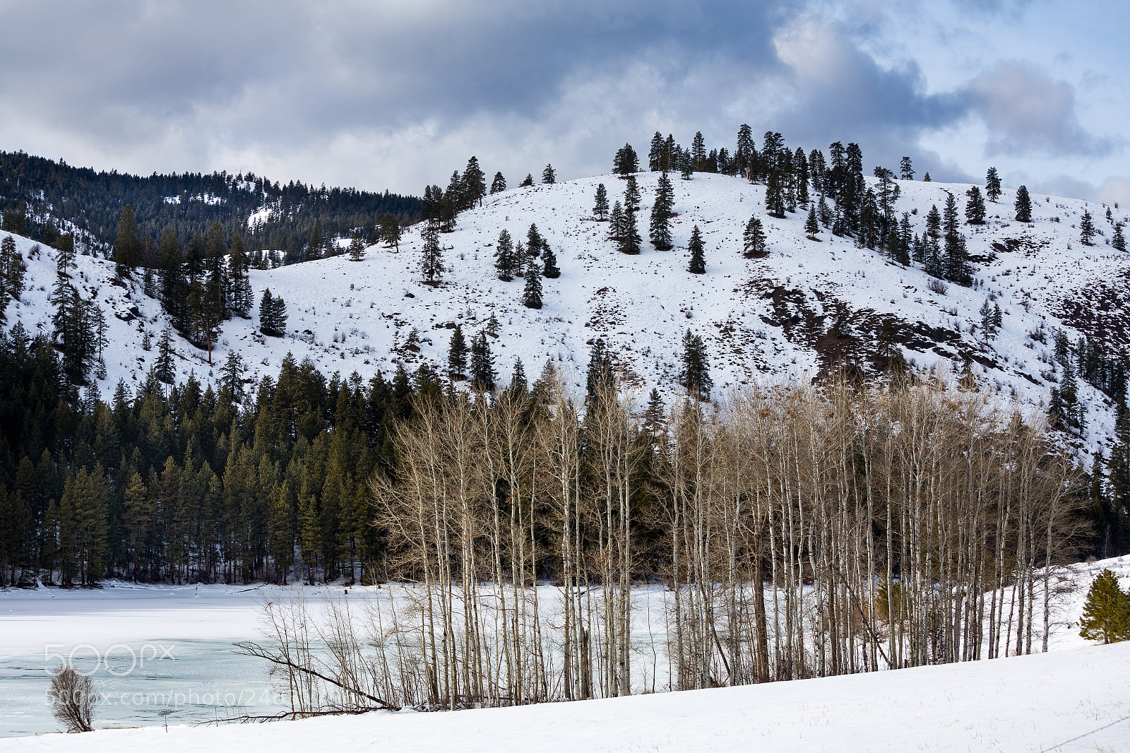 Canon EOS 6D sample photo. Winter scene photography