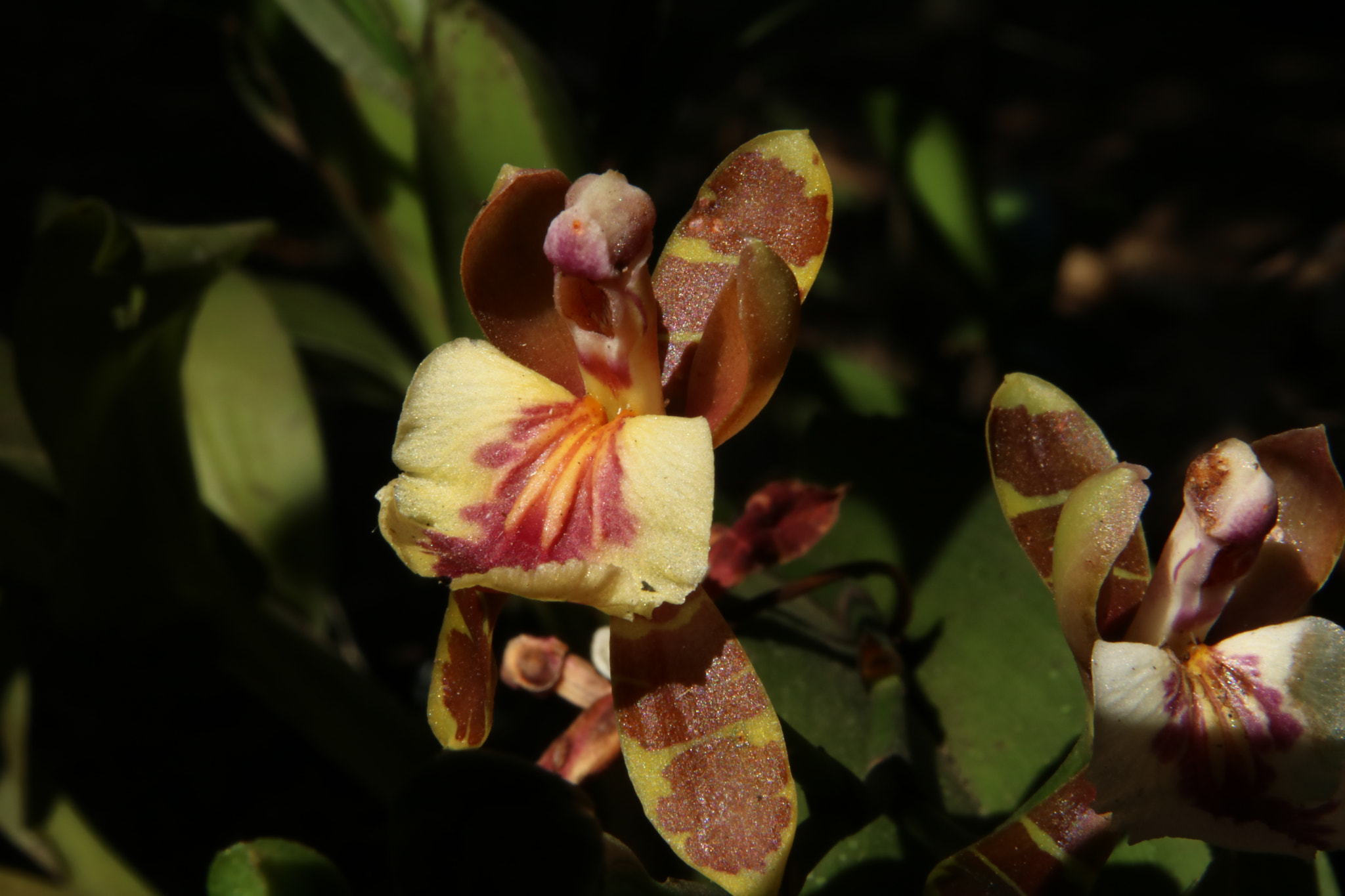 Canon EOS 760D (EOS Rebel T6s / EOS 8000D) sample photo. Ts photography