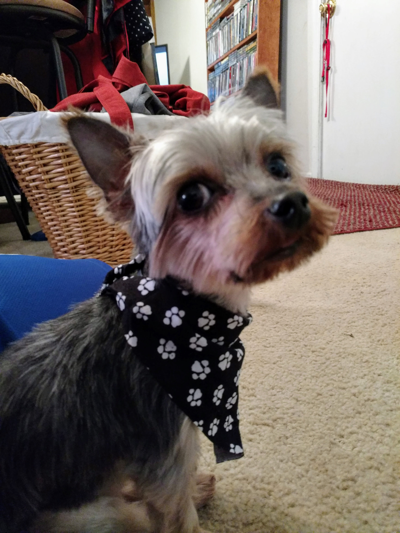 Motorola DROID Turbo 2 sample photo