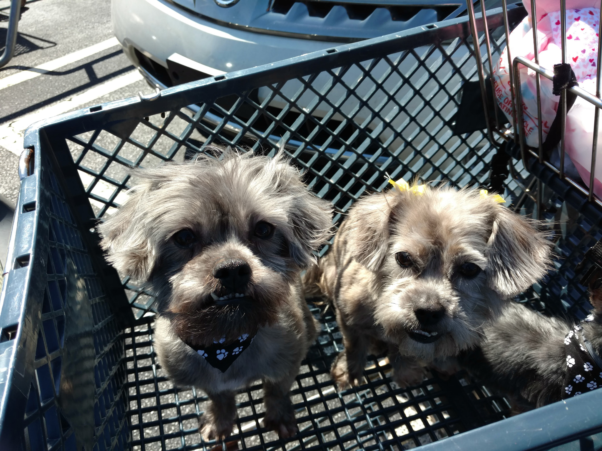Motorola DROID Turbo 2 sample photo