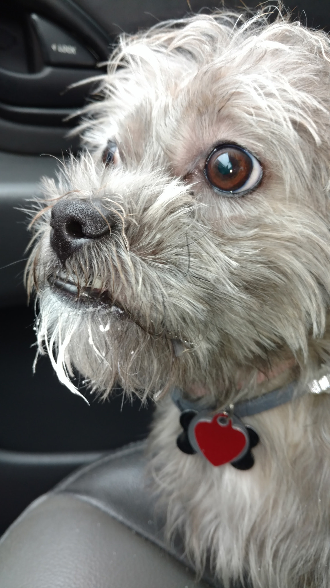 Motorola DROID Turbo 2 sample photo