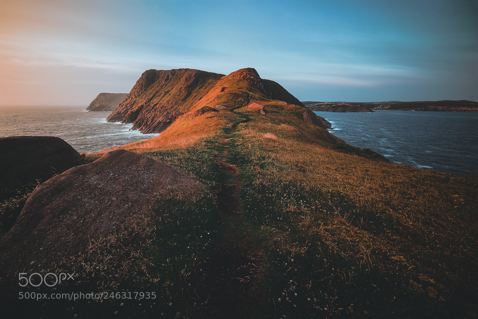 Nikon D810 sample photo. Morning walk at torbay photography