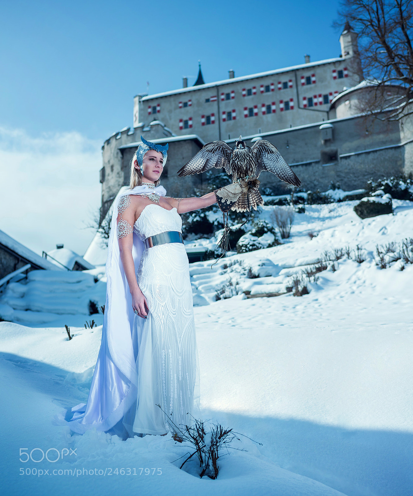 Nikon D800 sample photo. Die eiskönigin photography