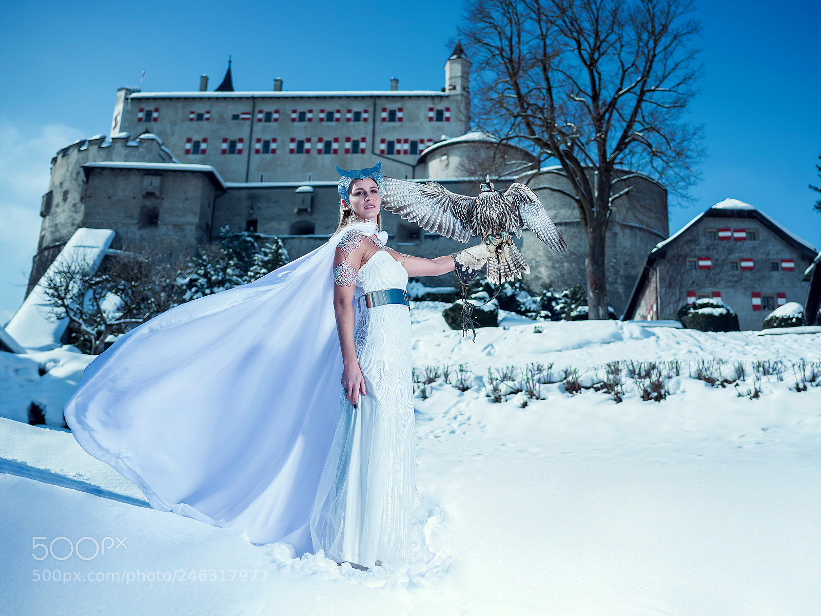 Nikon D800 sample photo. Die eiskönigin photography