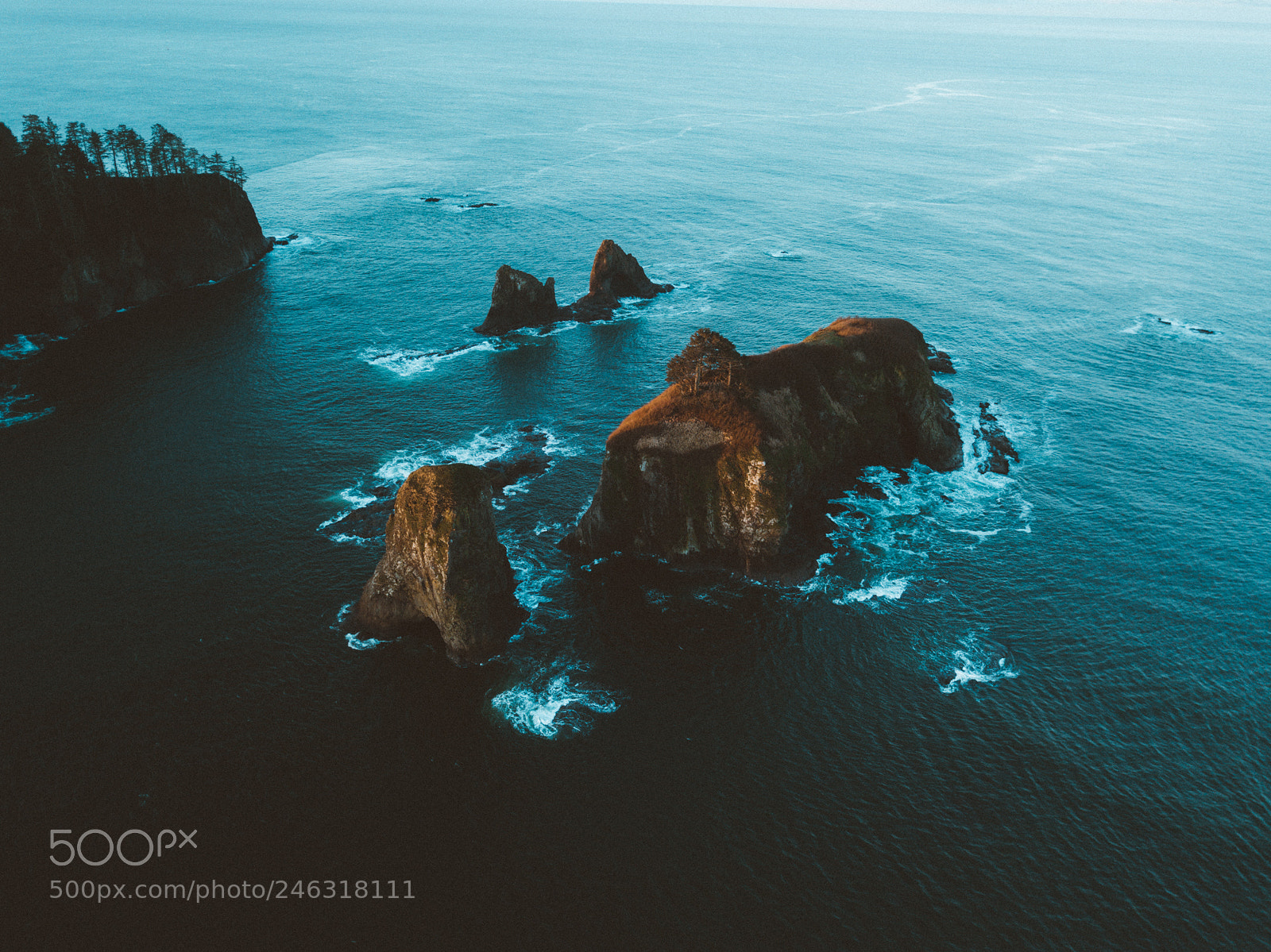 DJI FC220 sample photo. Along the washington coast photography