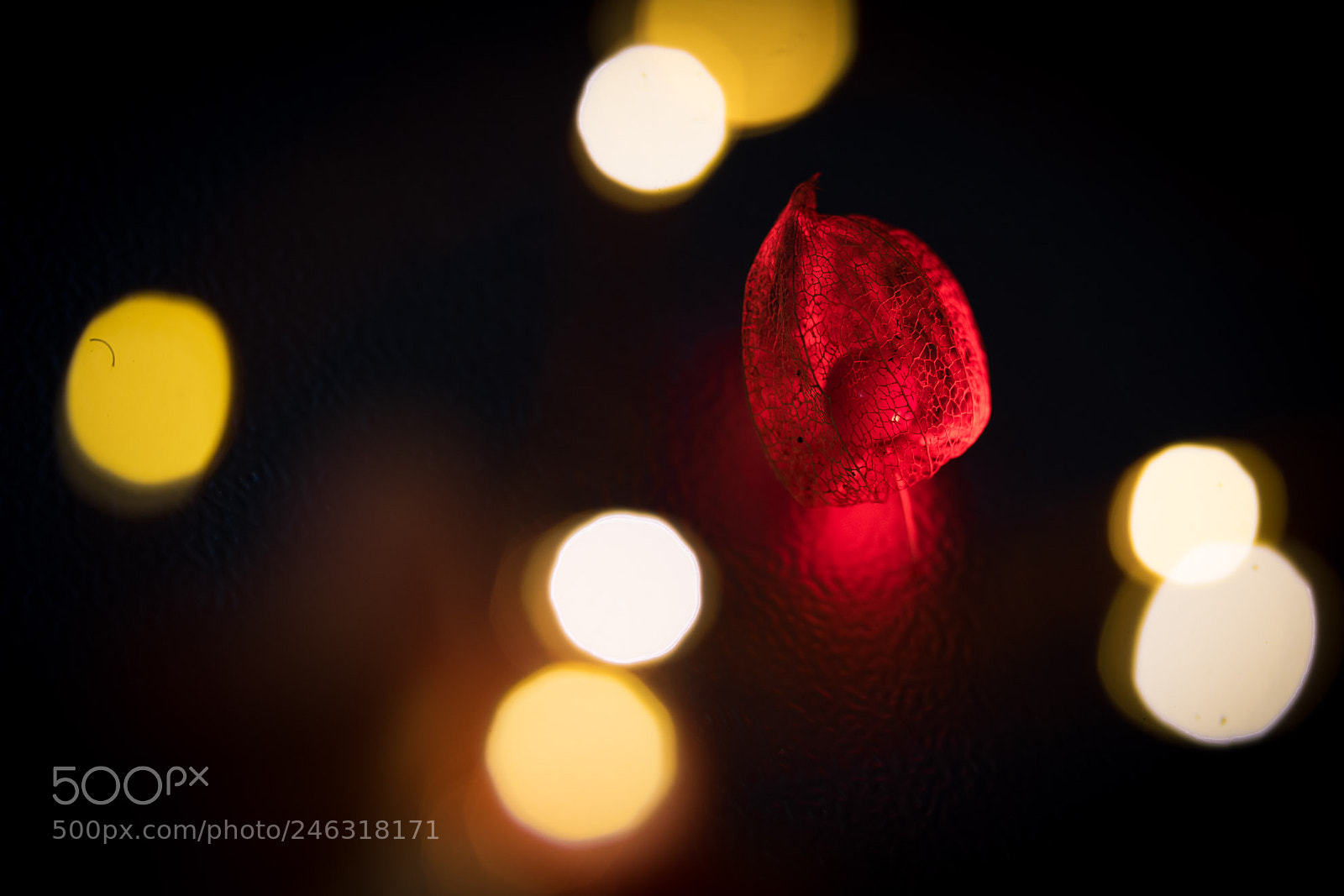 Sony a7 II sample photo. Lichtspiel iii photography