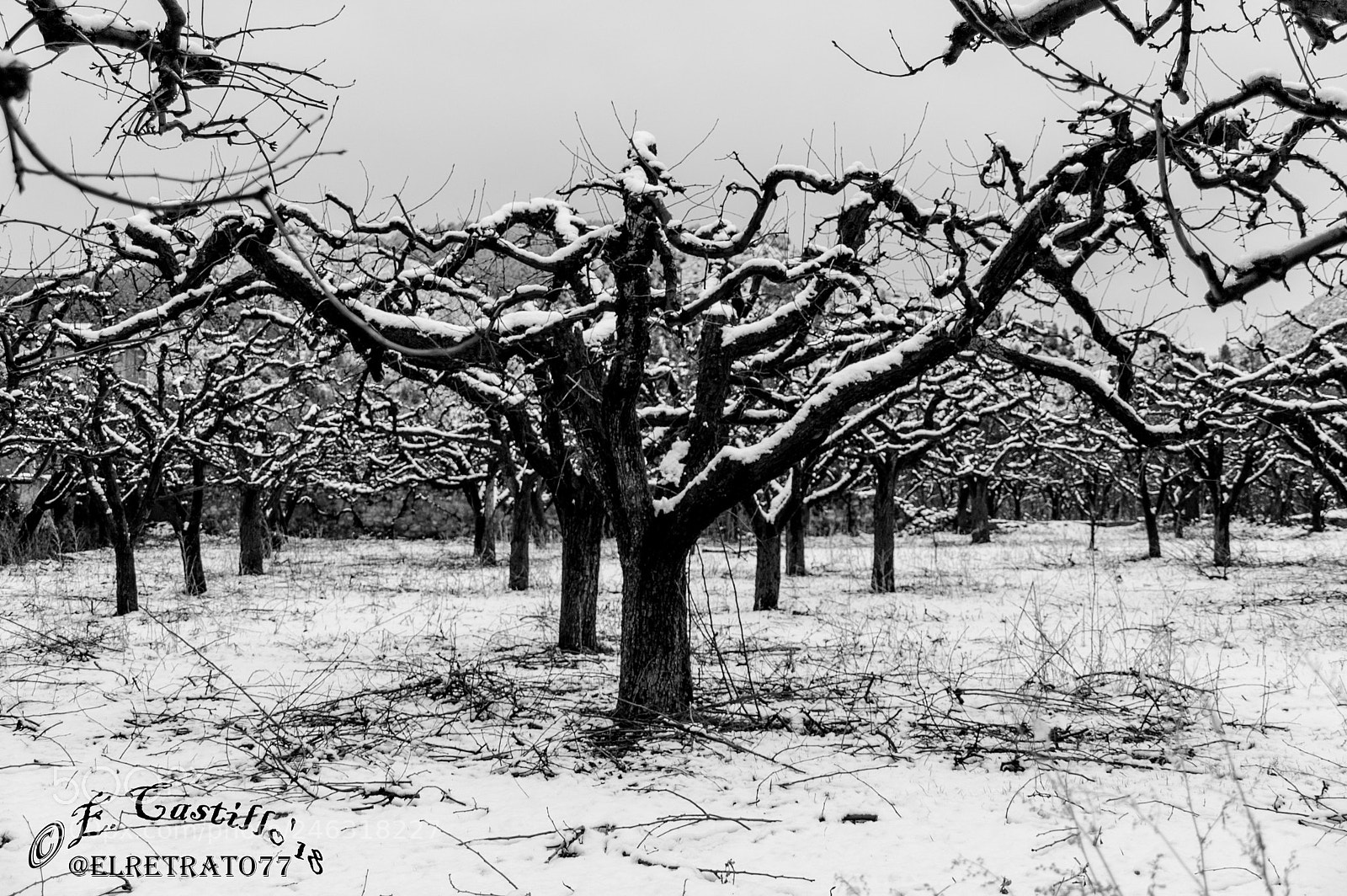 Nikon D40 sample photo. "manto blanco" photography