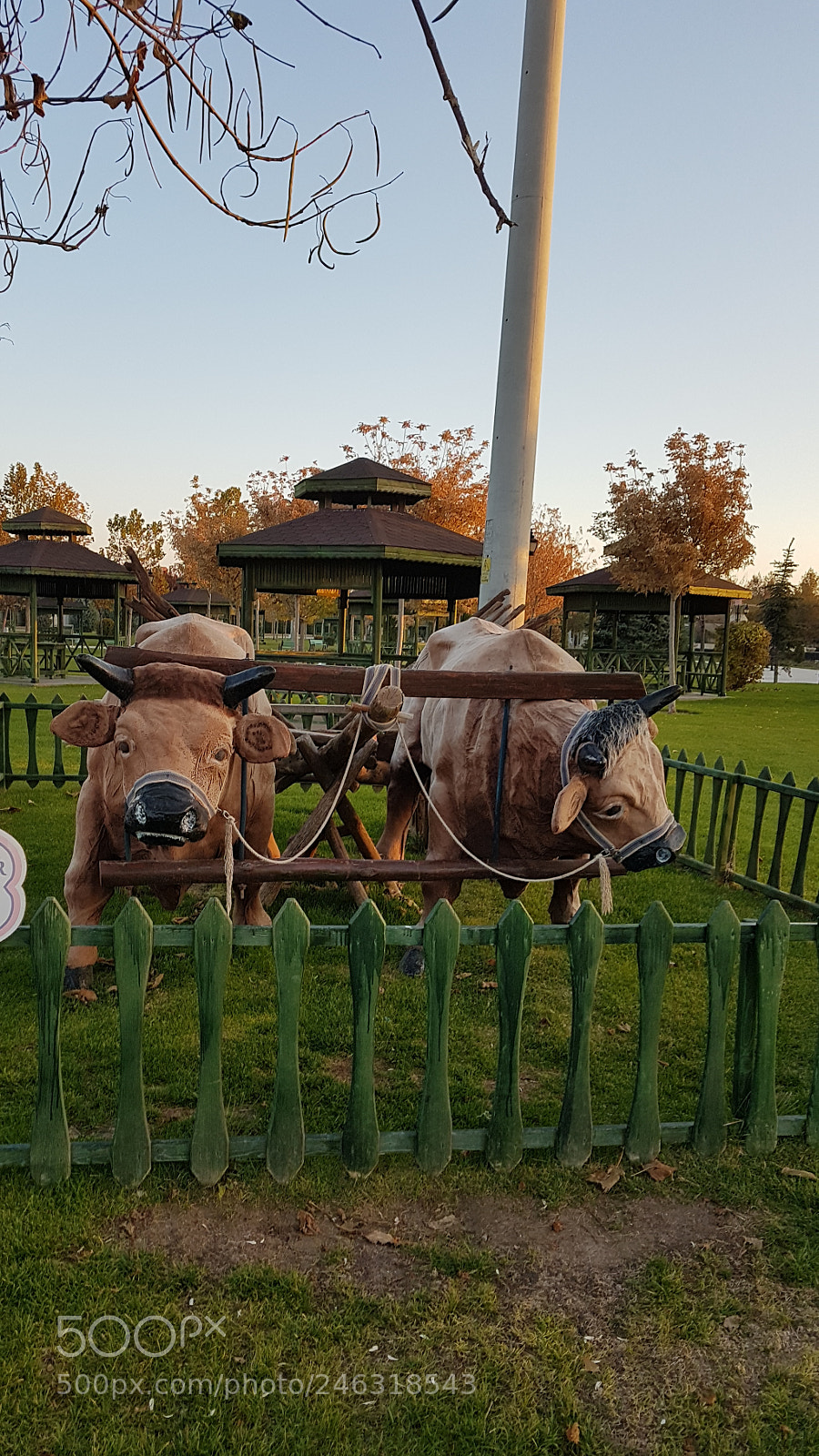 Samsung Galaxy S7 Edge sample photo. Untitled photography
