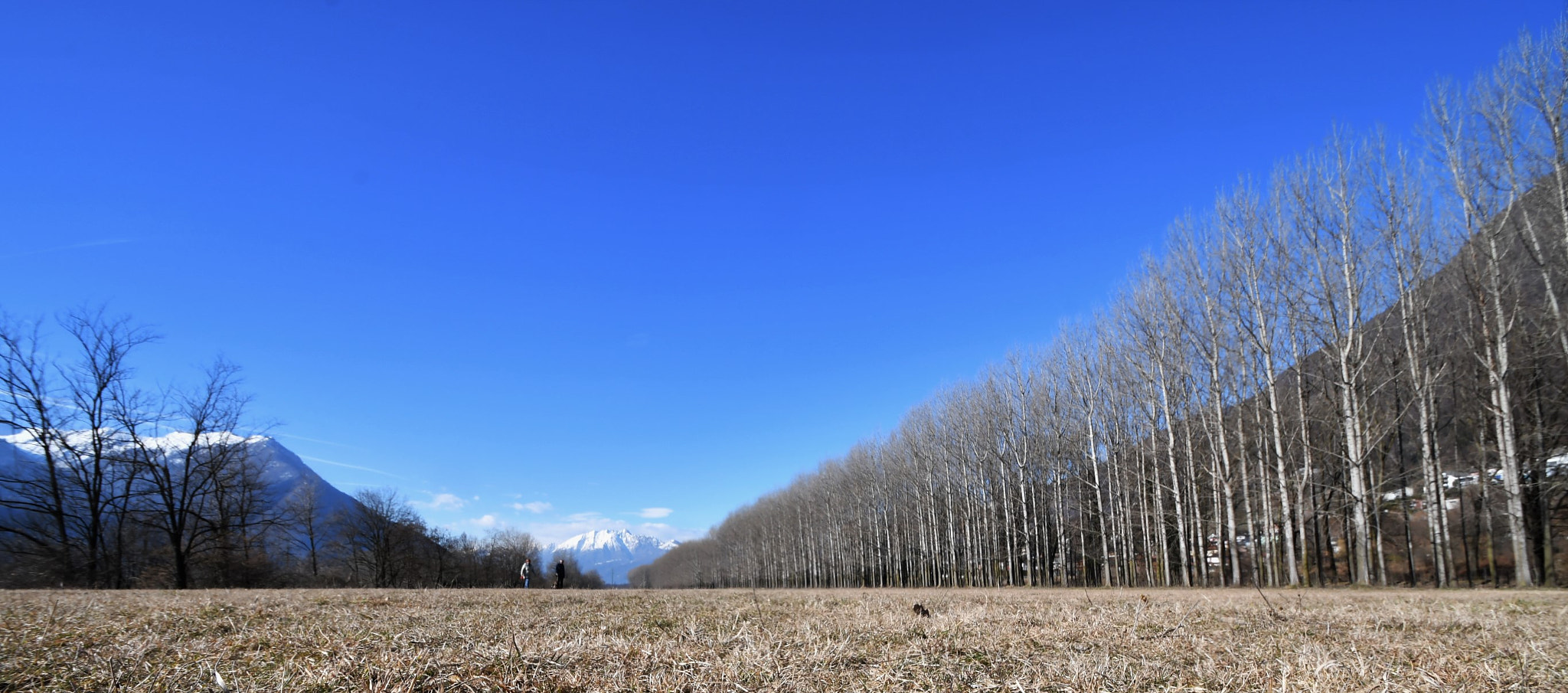 Nikon D500 sample photo