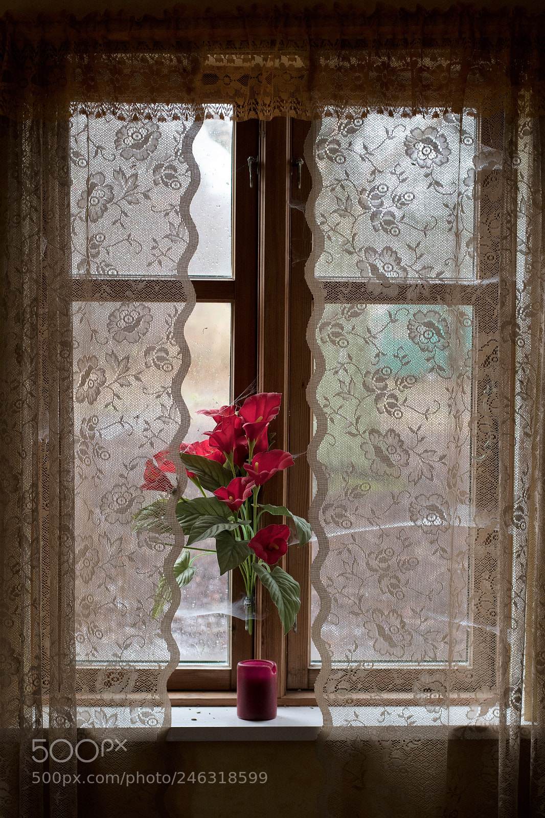 Nikon D500 sample photo. Abandoned house photography
