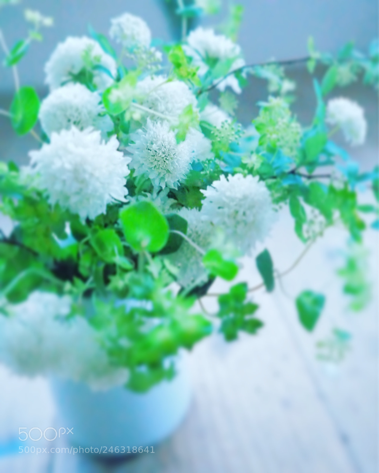 Olympus PEN-F sample photo. Bouquet photography