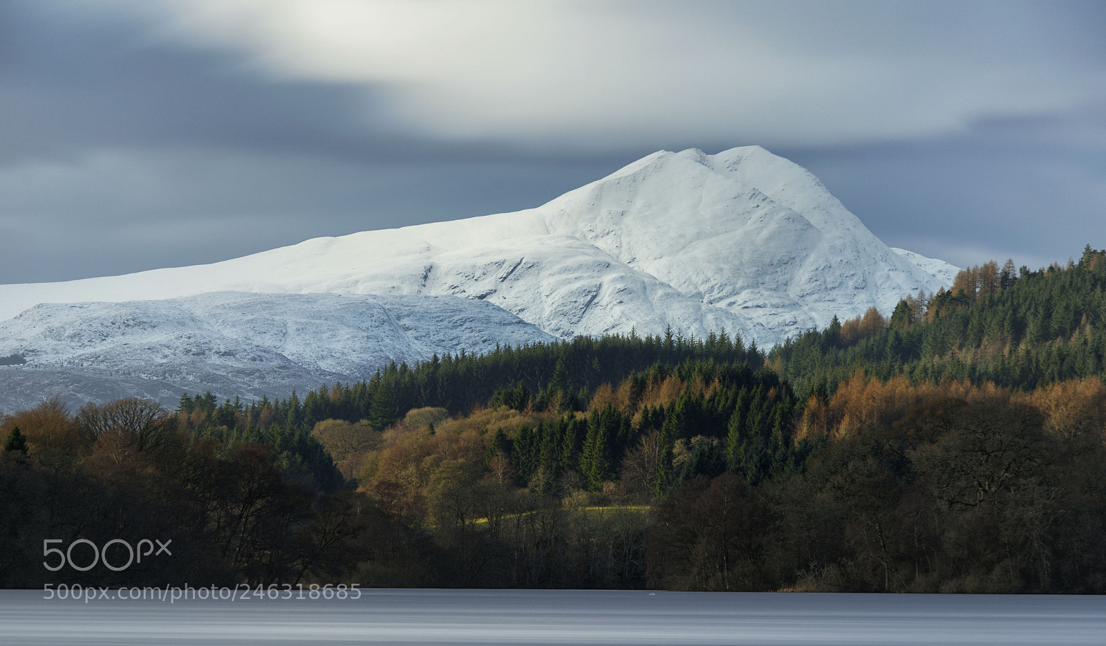 Nikon D800E sample photo. Ben lomond photography