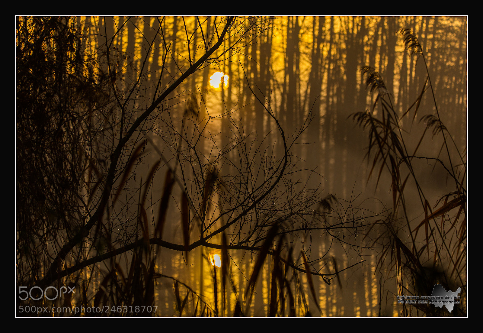 Canon EOS 5DS sample photo. Mystic lake photography
