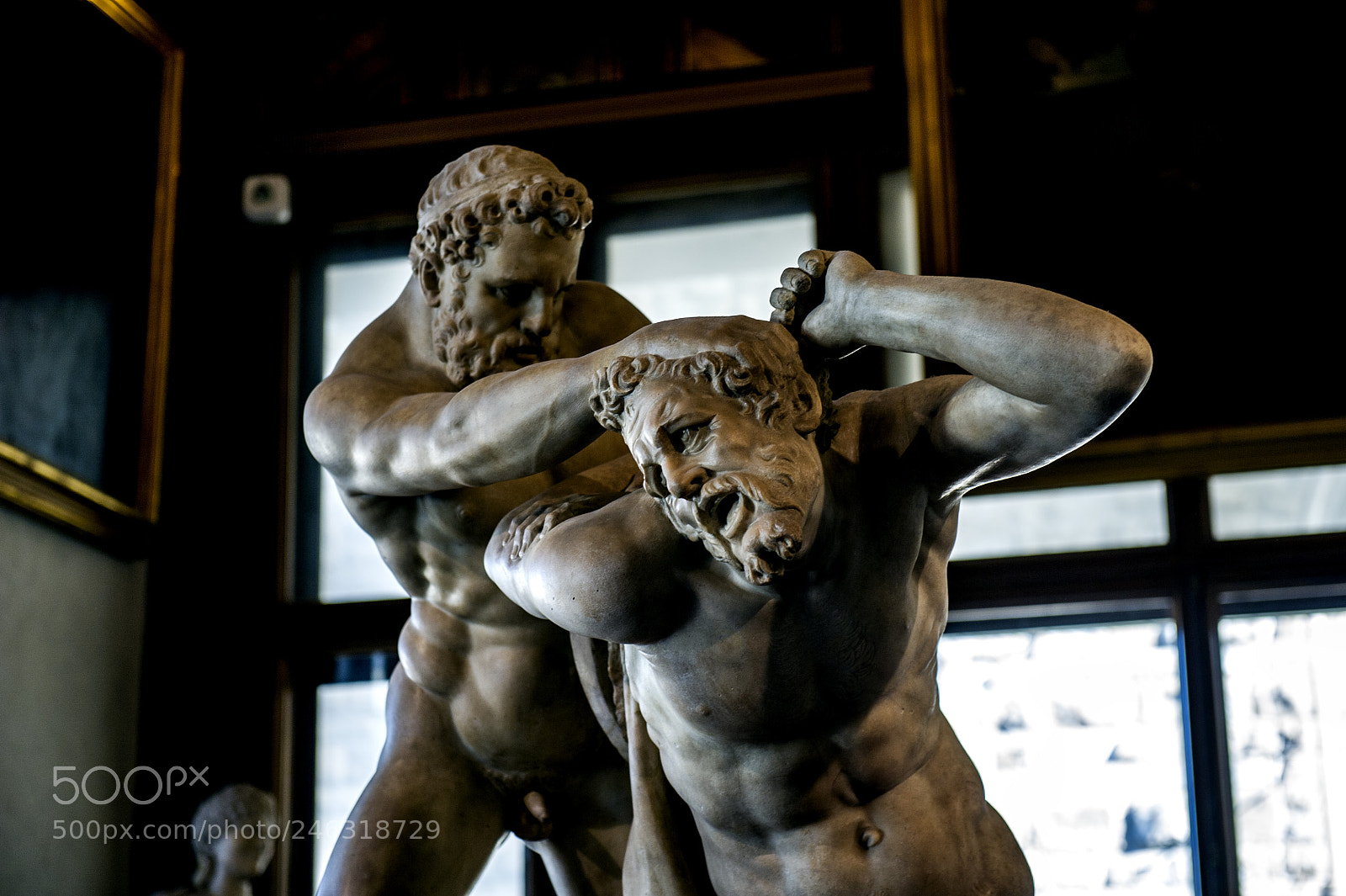 Nikon D3S sample photo. Fight photography