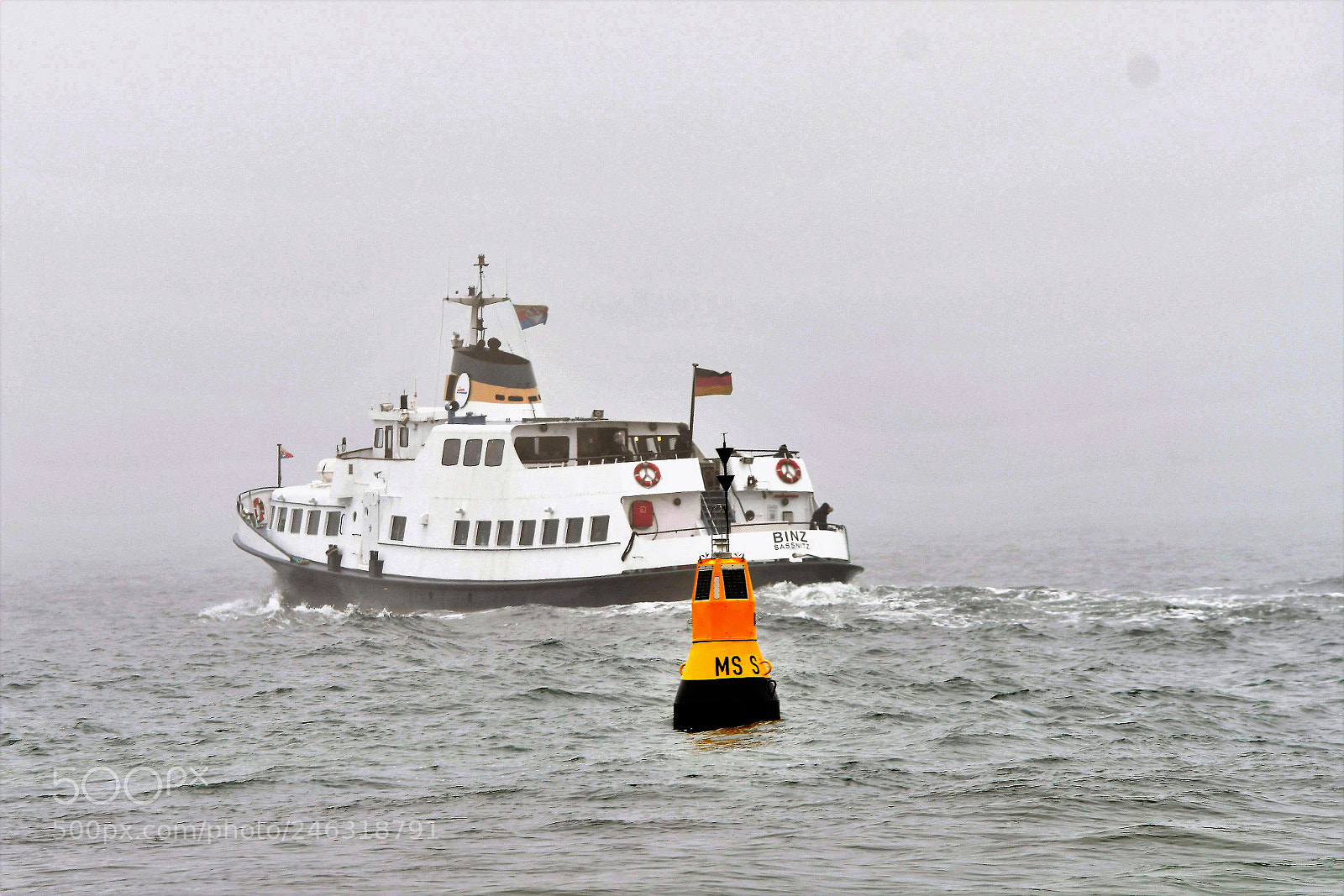 Nikon D500 sample photo. Into the fog photography