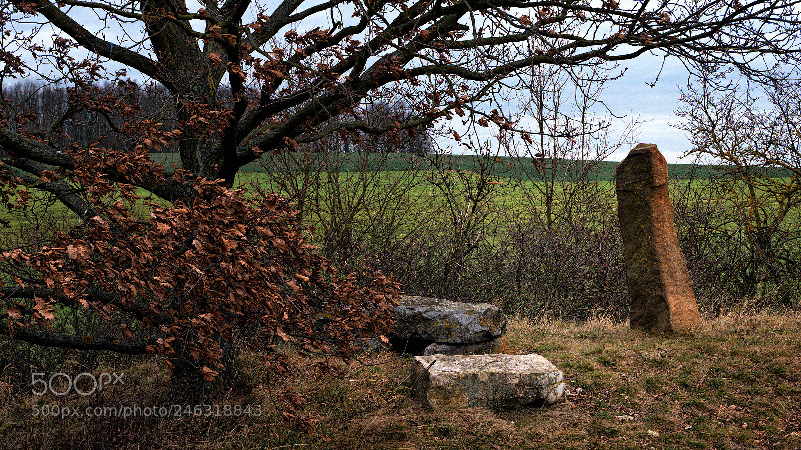 Panasonic Lumix DMC-G85 (Lumix DMC-G80) sample photo. ...menhirs...???...!!!... photography