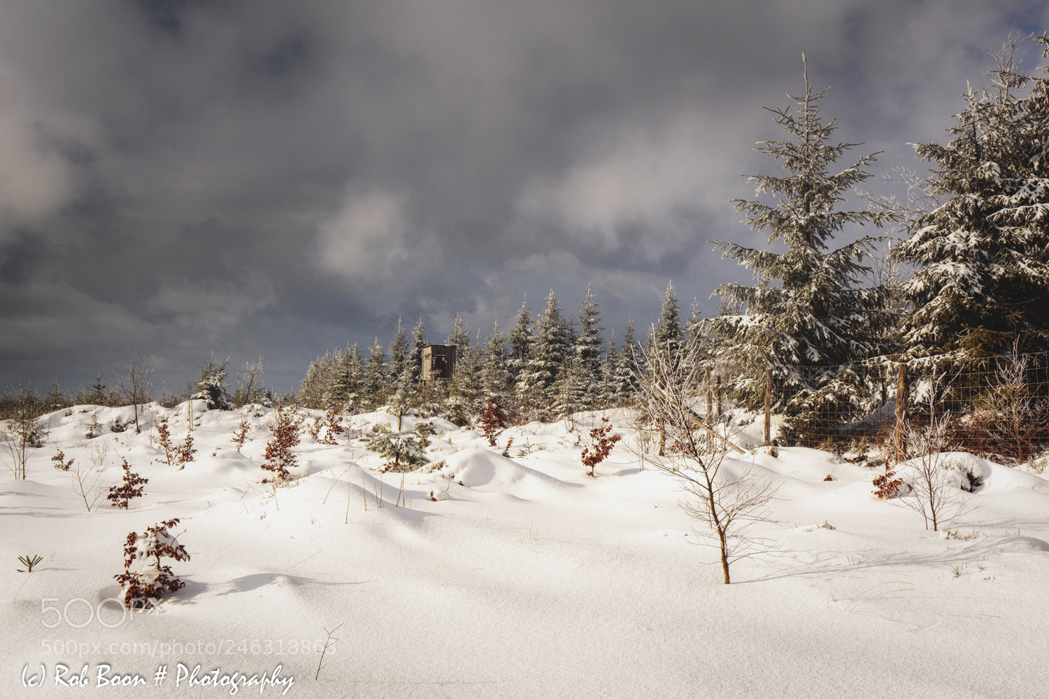Canon EOS 5DS sample photo. Winter @ botrange 10 photography