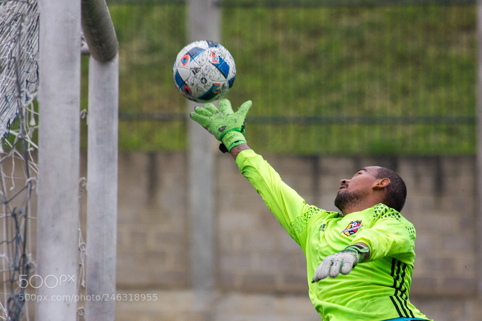 Canon EOS 550D (EOS Rebel T2i / EOS Kiss X4) sample photo. Entrenamiento atl tico venezuela photography