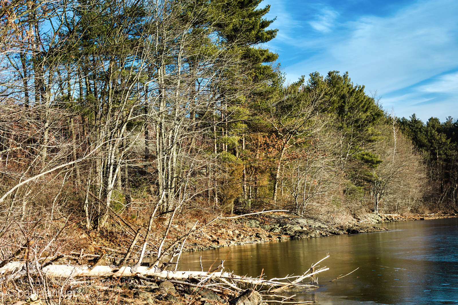 Nikon D7200 sample photo. Afternoon photography
