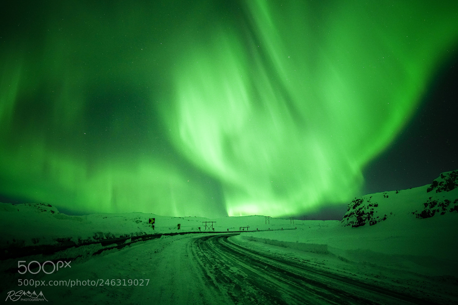 Sony a7R II sample photo. Green light everywhere! photography