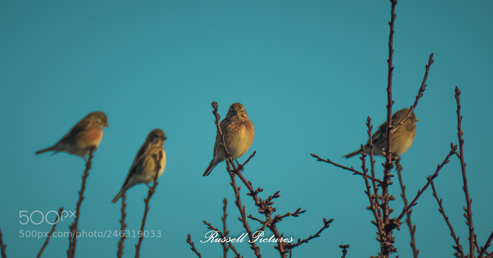 Nikon D3400 sample photo. Some friends i met. photography