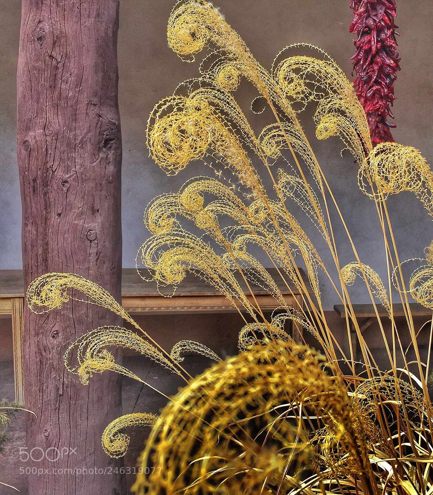 Apple iPhone 6 sample photo. Santa fe swirl photography